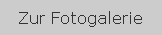 index_holz.html